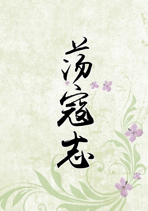 荡寇志