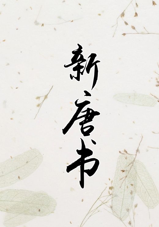 新唐书